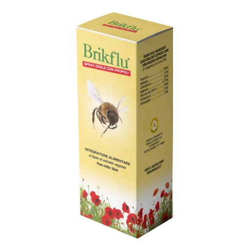 BRIKFLU SPR ORALE NAT 30ML