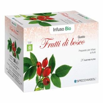 INFUSO BIO FRUTTA BOSCO 20FILT