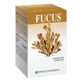 FUCUS 150 Tav.SPECCH.