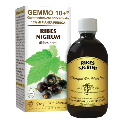 RIBES Nero Gemme 10+500ml GMG