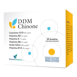 DDM CHINONE 30BUSTINE