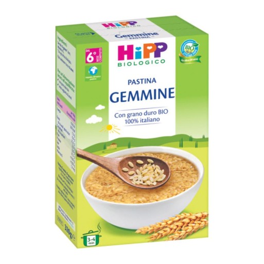 HIPP BIO PASTINA GEMMINE 320G