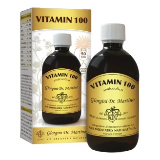 VITAMIN 100 Liq.Analc.500mlSVS