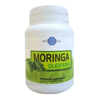 MORINGA OLEIFERA 60 Cps