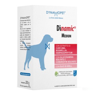 DINAMIC 20BUSTINE 10G