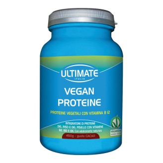 VEGAN Proteine Cacao 450g