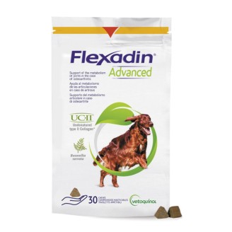 FLEXADIN ADVANCED 30TAV MASTIC