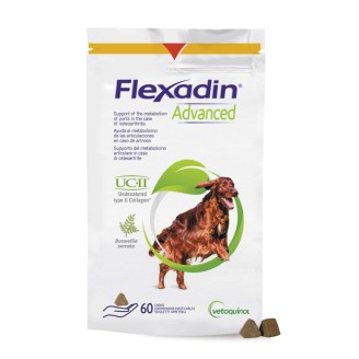 FLEXADIN ADVANCED CANE 60TAV M